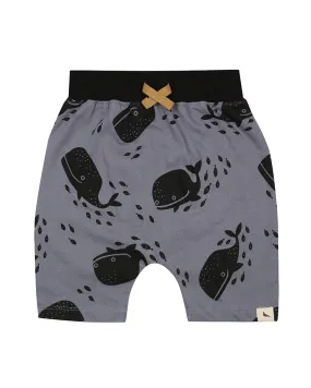 Whales Shorts